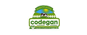 codegan